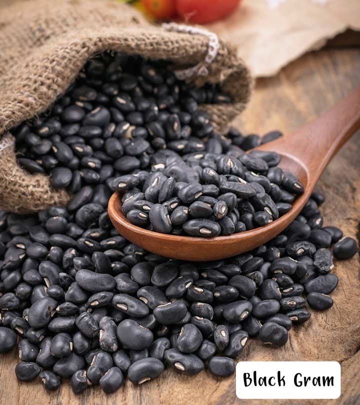 Seed